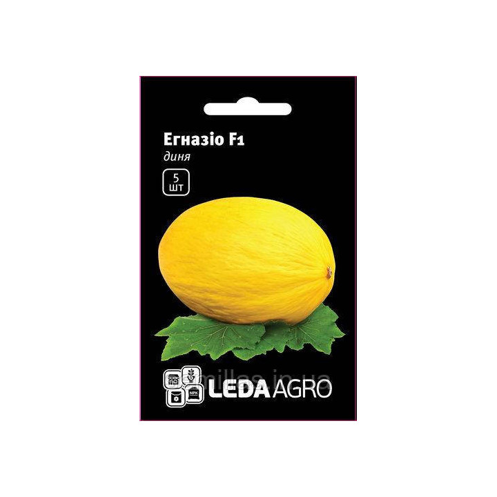 Egnazio / Егназіо