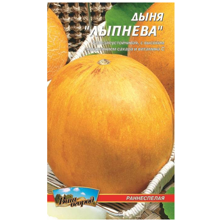 Лыпнева / Липнева