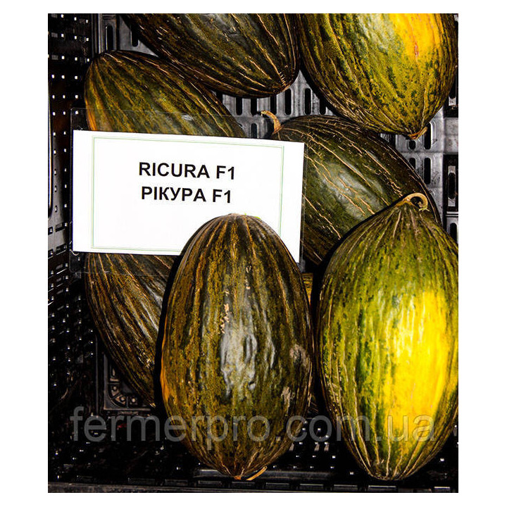 Ricura / Рікура