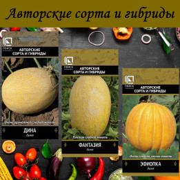 Сеньоріта