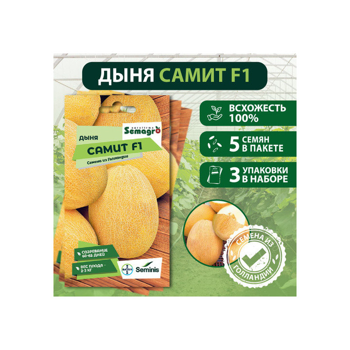 Samit F1 / Саміт F1