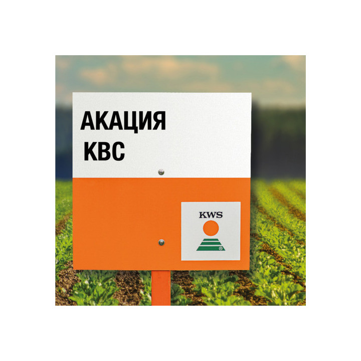 AKAZIA KWS / АКАЦІЯ КВС