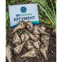 Argument / АРГУМЕНТ