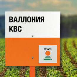 WALLONIA KWS / ВАЛЛОНІЯ КВС