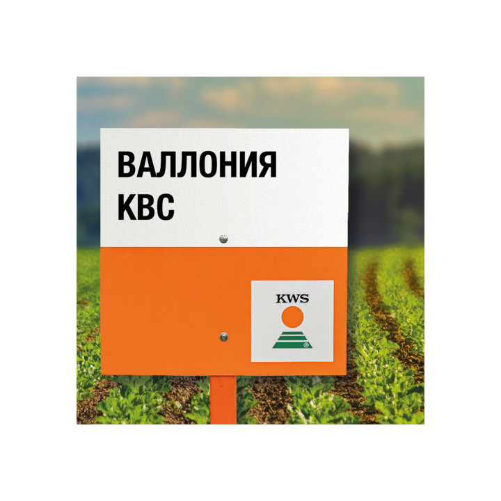 WALLONIA KWS / ВАЛЛОНІЯ КВС