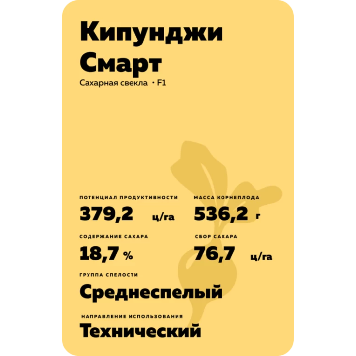 ICARUS SMART / ІКАРУС СМАРТ