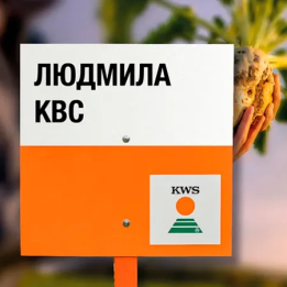LUDMILLA KWS / ЛЮДМИЛА КВС
