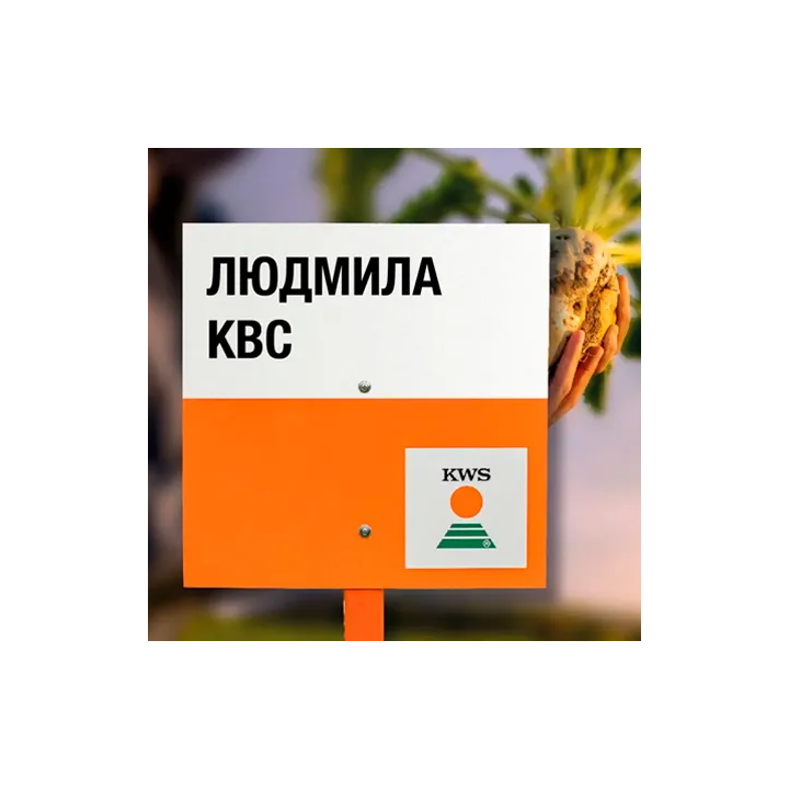 LUDMILLA KWS / ЛЮДМИЛА КВС