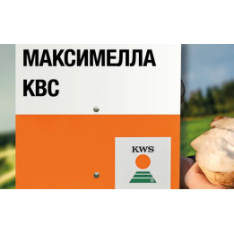 Максим