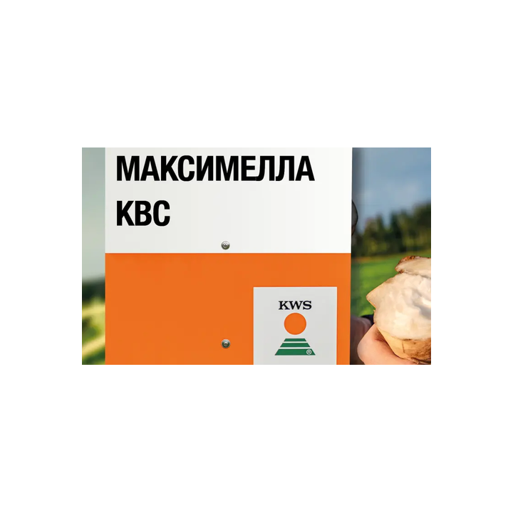 Максим