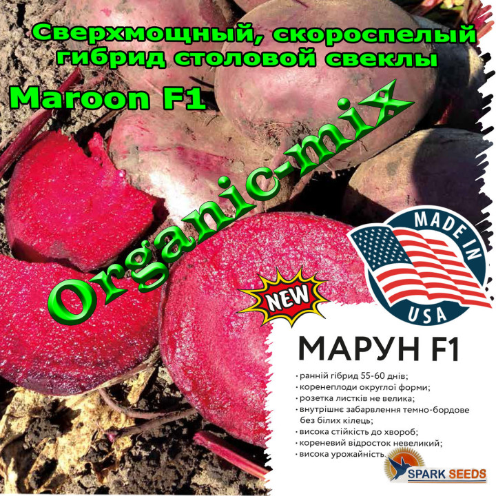 MAROON / МАРУН
