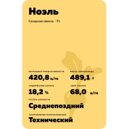 Noel / Ноель