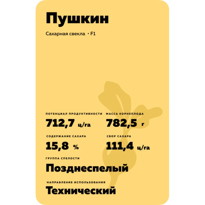 PUSCHKIN / ПУШКІН