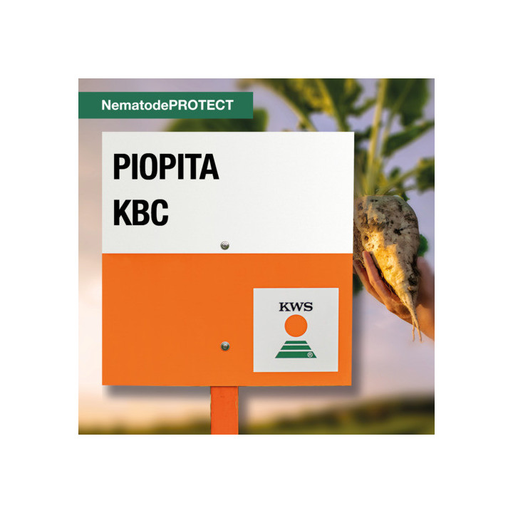 RIORITA KWS / РІОРІТА КВС