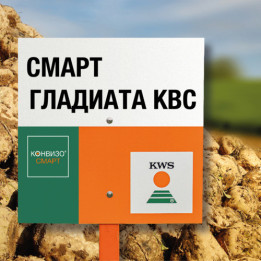 SMART GLADIATA KWS / СМАРТ ГЛАДІАТА КВС