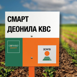 SMART DEONILA KWS / СМАРТ ДЕОНІЛА КВС