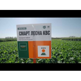SMART GINEVRA KWS / СМАРТ ДЖІНЕВРА КВС
