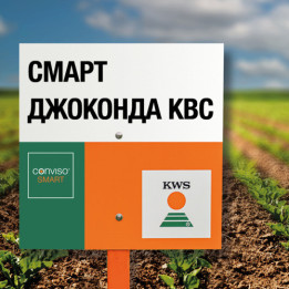 SMART GIOCONDA KWS / СМАРТ ДЖОКОНДА КВС