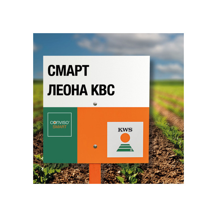 SMART LATORIA KWS / СМАРТ ЛАТОРІЯ КВС