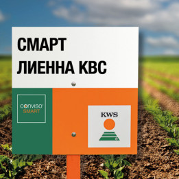 SMART POPULARA KWS / СМАРТ ПОПУЛЯРА КВС