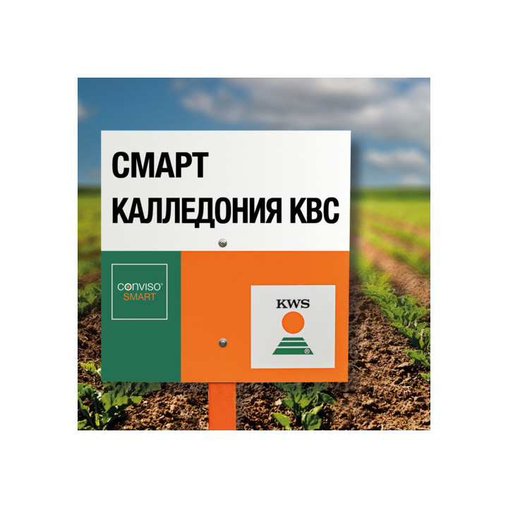 SMART TALIDIA KWS / СМАРТ ТАЛІДА КВС