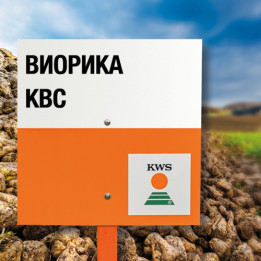 VIORICA KWS / ВІОРІКА КВС