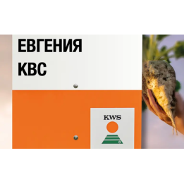 Eugenia / Євгенія
