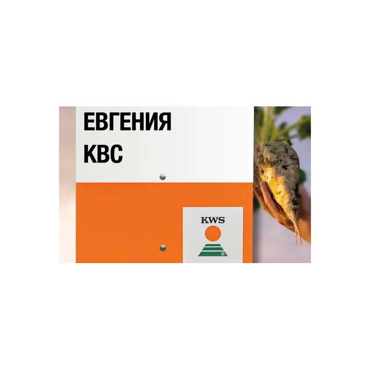Eugenia / Євгенія