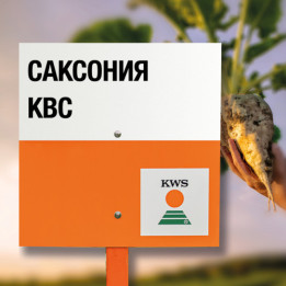 JEWGENIA KWS / ЄВГЕНІЯ КВС
