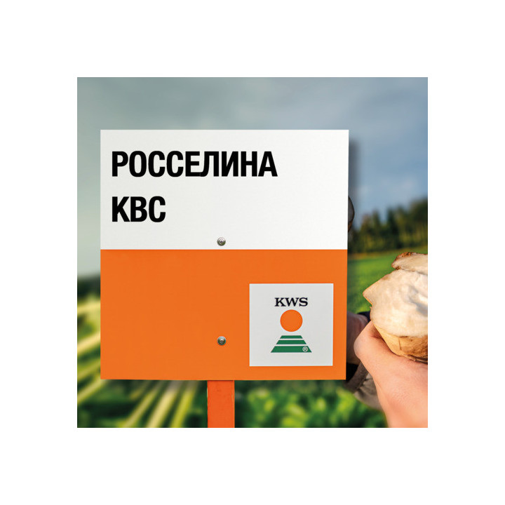 KONSTANZIA KWS / КОНСТАНЦІЯ КВС