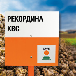 Corrida KWS / Коррида КВС