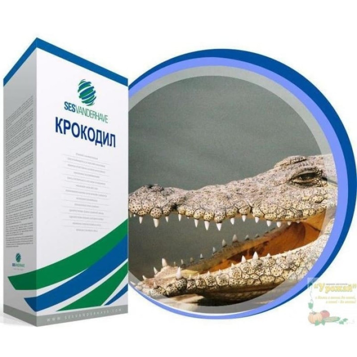 Крокодил