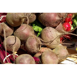 Kujawska / Куявська