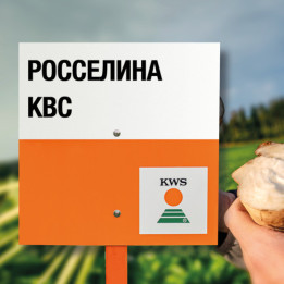RUSLANA KWS / РУСЛАНА КВС
