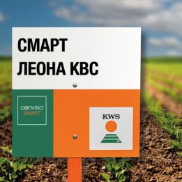 SMART KALLEDONIA KWS / СМАРТ КАЛЕДОНІЯ КВС