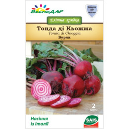 Chioggia / Кьоджа