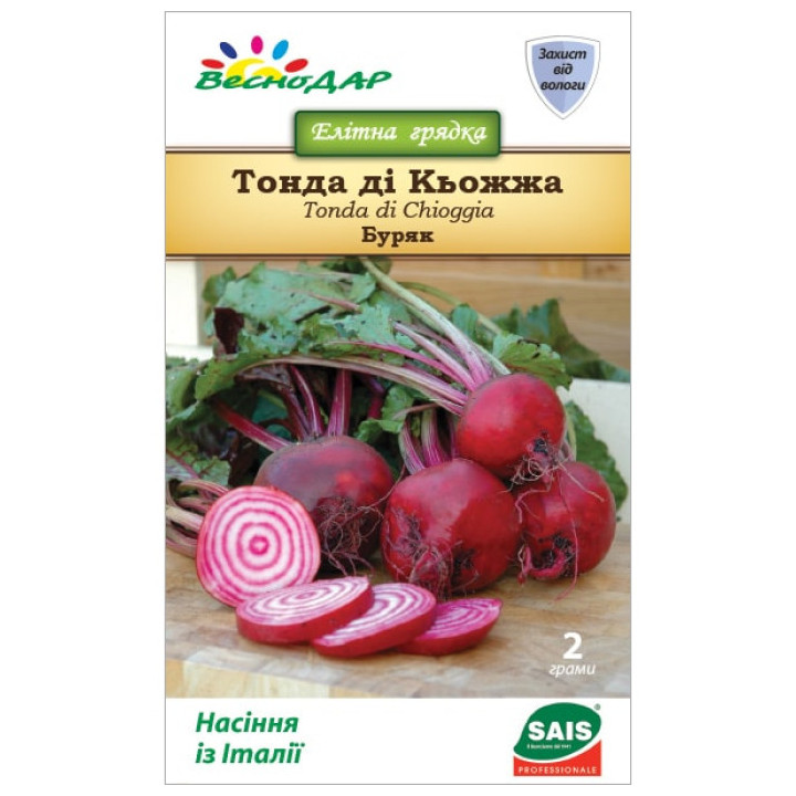 Chioggia / Кьоджа