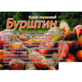 Бурштин
