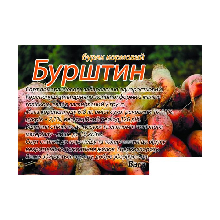 Бурштин
