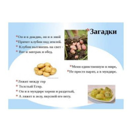 Загадка