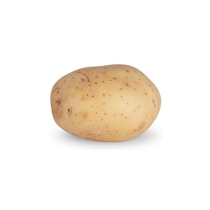 CAYMAN / Кайман