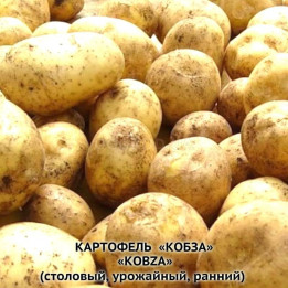 Кобза