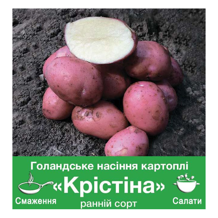 Cristina / Крістіна