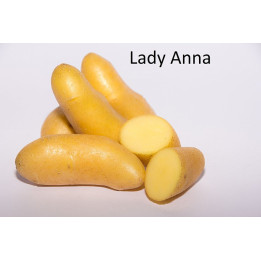 Lady Anna / Леді Анна