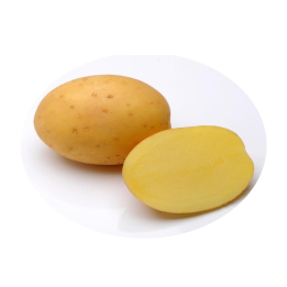 Madeira / Мадейра