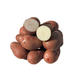 Меланія