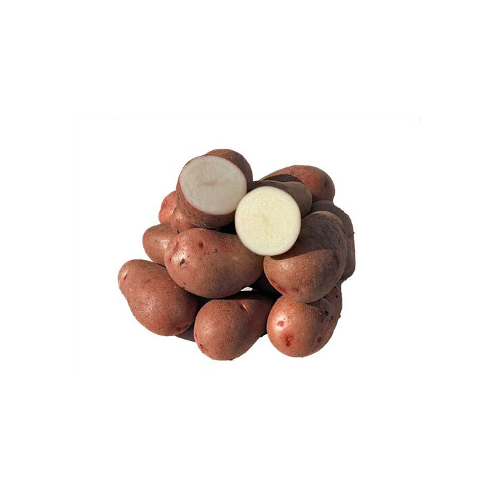 Меланія