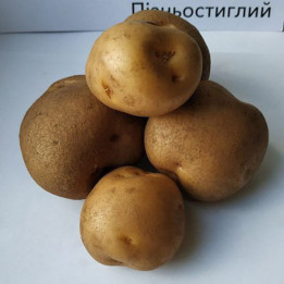 Панянка