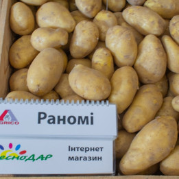 RANOMI / РАНОМІ