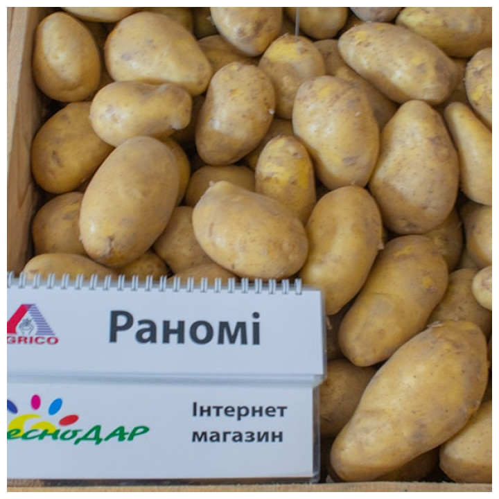RANOMI / РАНОМІ